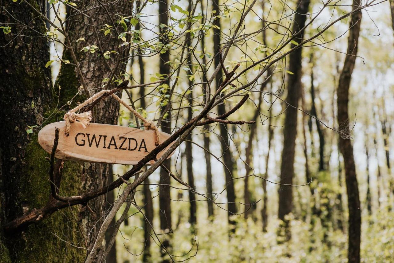 Dziki Las - Domki Na Drzewach Miłomłyn Eksteriør bilde